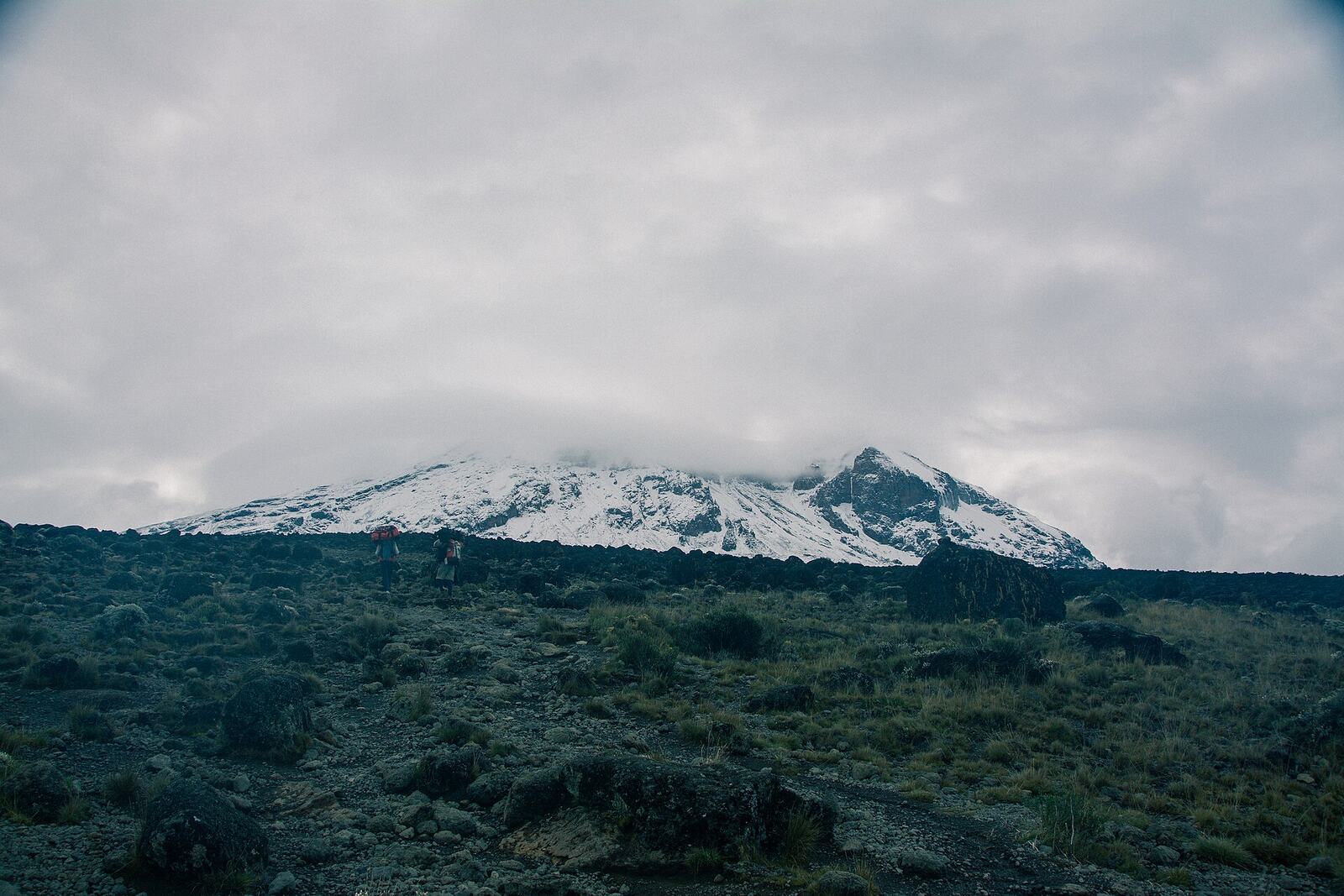 Trekkers below the snow-capped summit of Mount Kilimanjaro, Tanzania