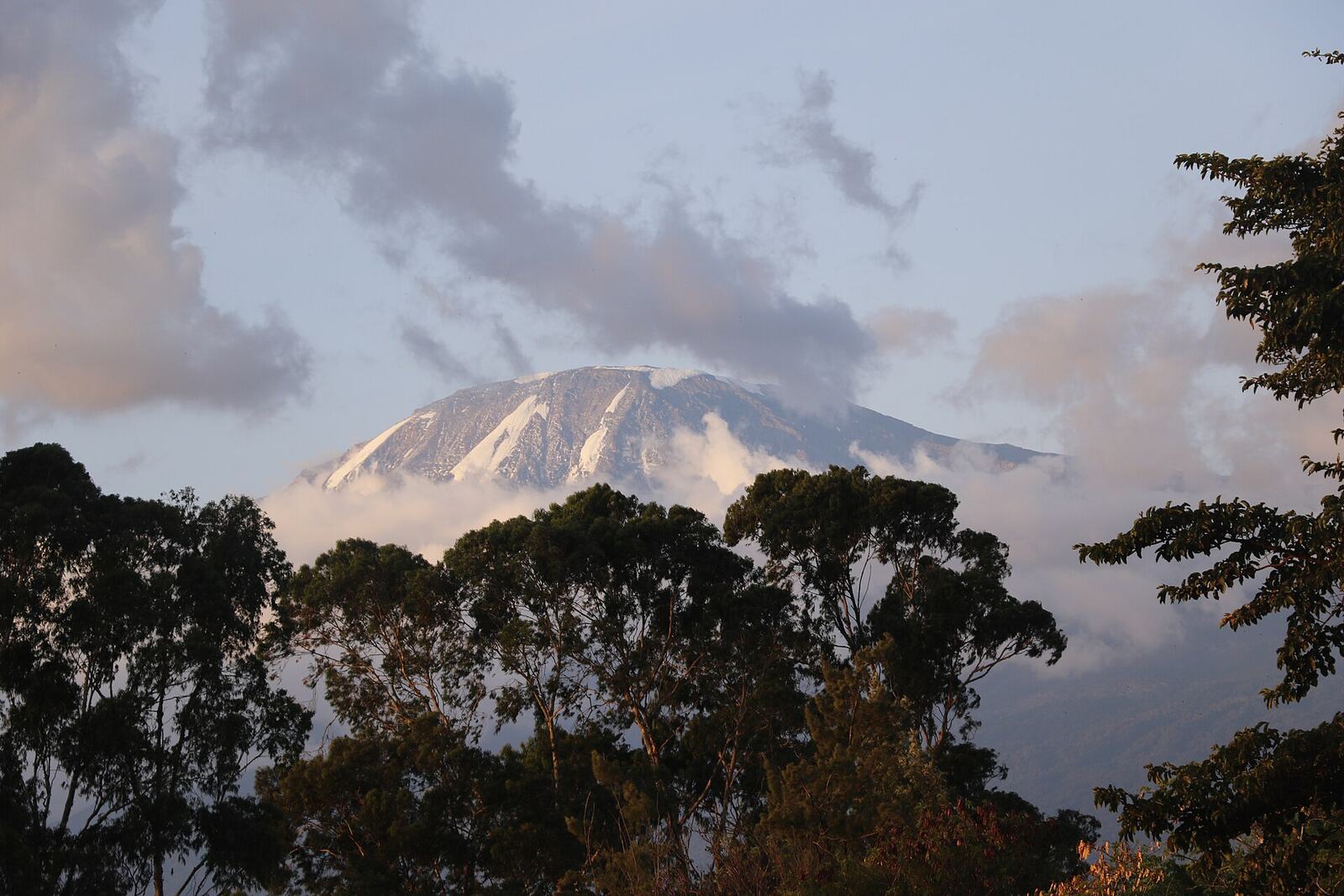 Mount Kilimanjaro seen at sunrise from Moshi town, Tanzania