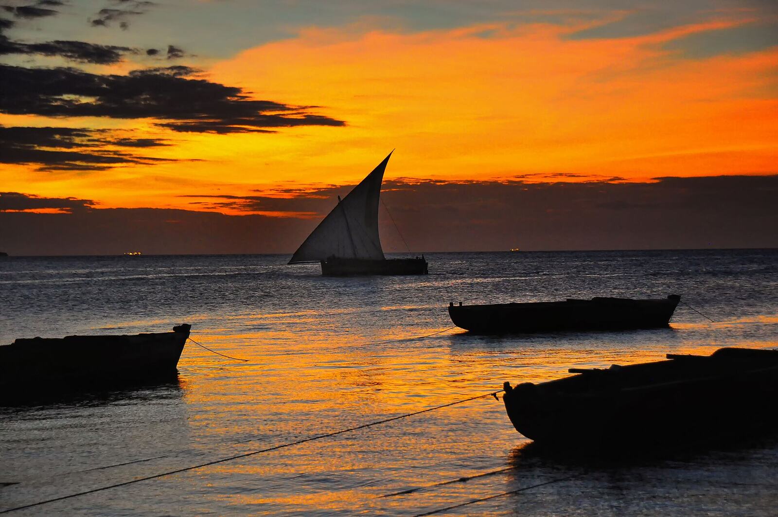 Traditional dhow sailing at sunset off Zanzibar