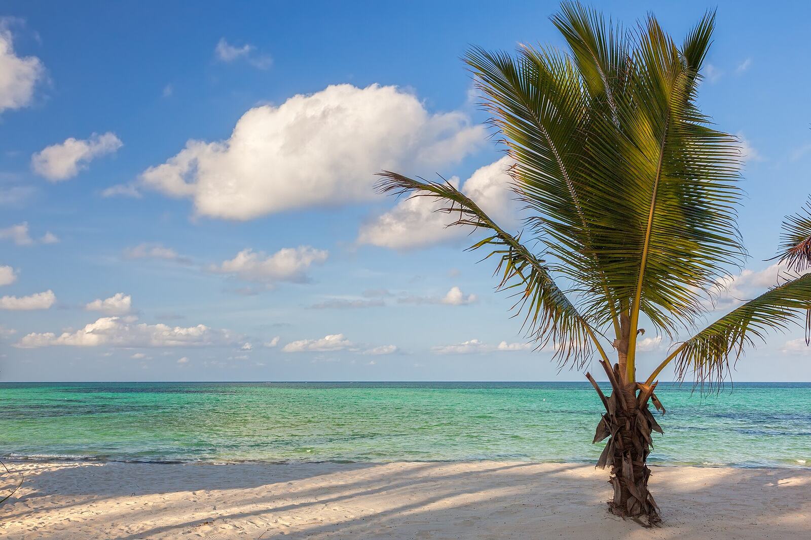 Palm-fringed lagoon at Pongwe beach on Zanzibar's east coast